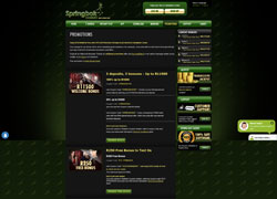 Springbok Promotions Screenshot